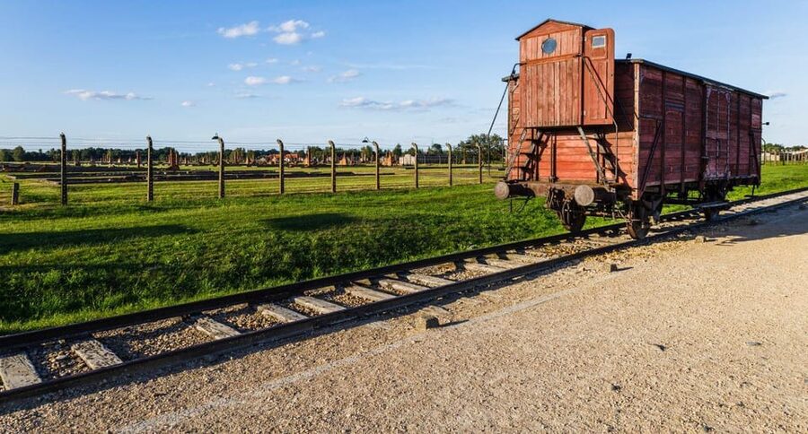 Budapest: Auschwitz Birkenau Private Day Tour - What the private format changes