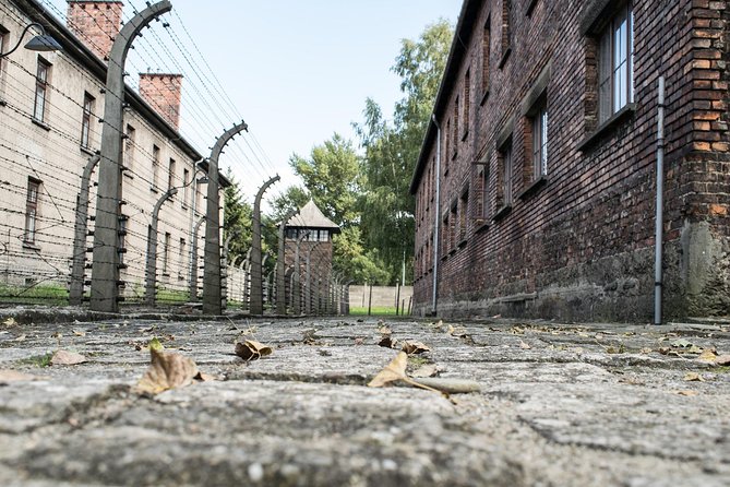 Combined: Auschwitz Birkenau and Salt Mine private chauffeur from Krakow - Auschwitz: a place for quiet attention