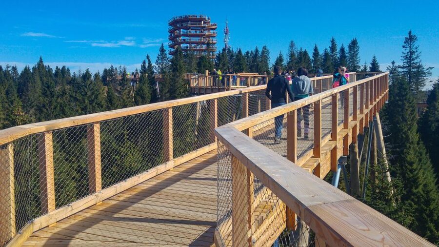 Dunajec River Gorge Rafting and Tree Top Walk from Krakow - A practical lunch stop after rafting