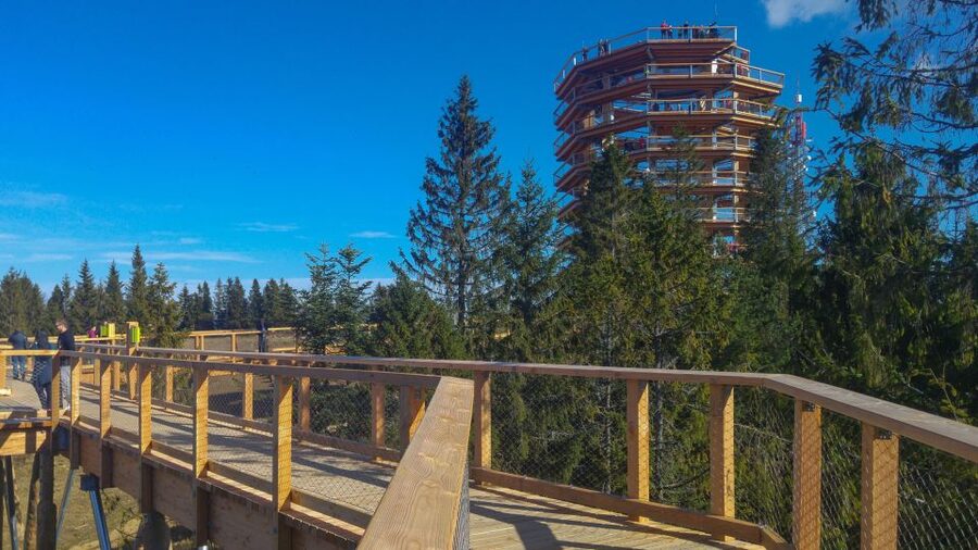 Dunajec River Gorge Rafting and Tree Top Walk from Krakow - What the $187 price includes