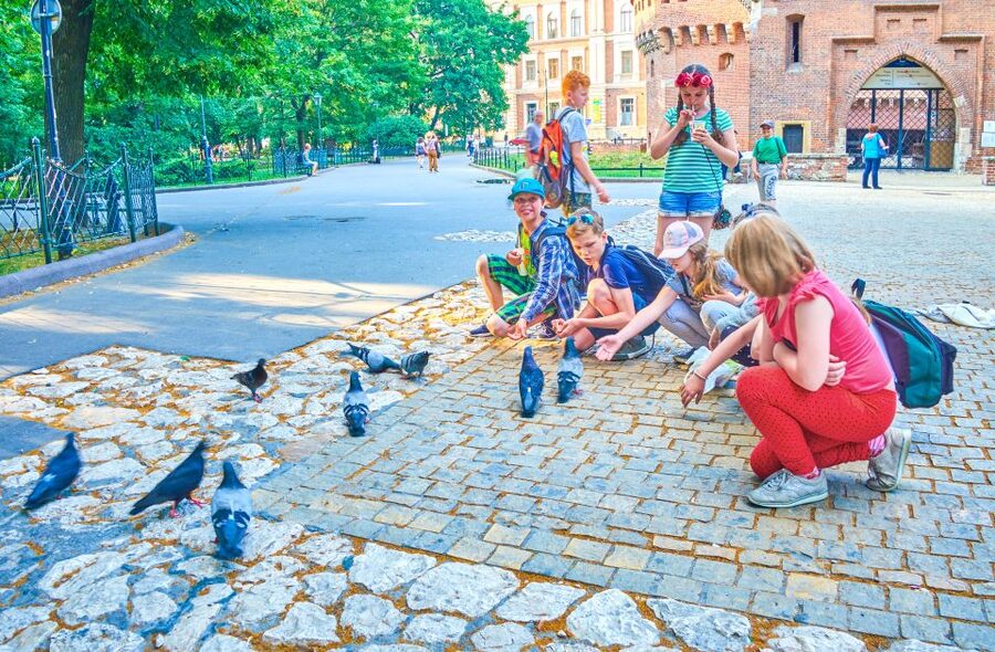 Family Tour of Krakow Old Town with Sweets Factory & Cruise - Starting at the Barbican and Floriańska Street