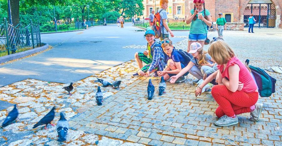 Family Tour of Krakow Old Town with Sweets Factory & Cruise - Main Market Square, Cloth Hall, and the trumpet call