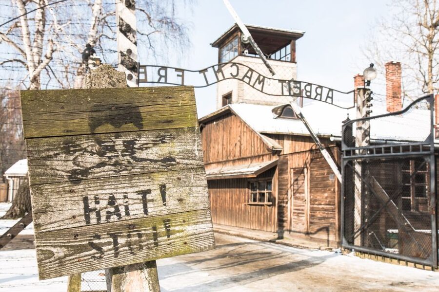 From Krakow: Auschwitz and Wieliczka Salt Mine Full-Day Trip - Who should book this full-day trip?