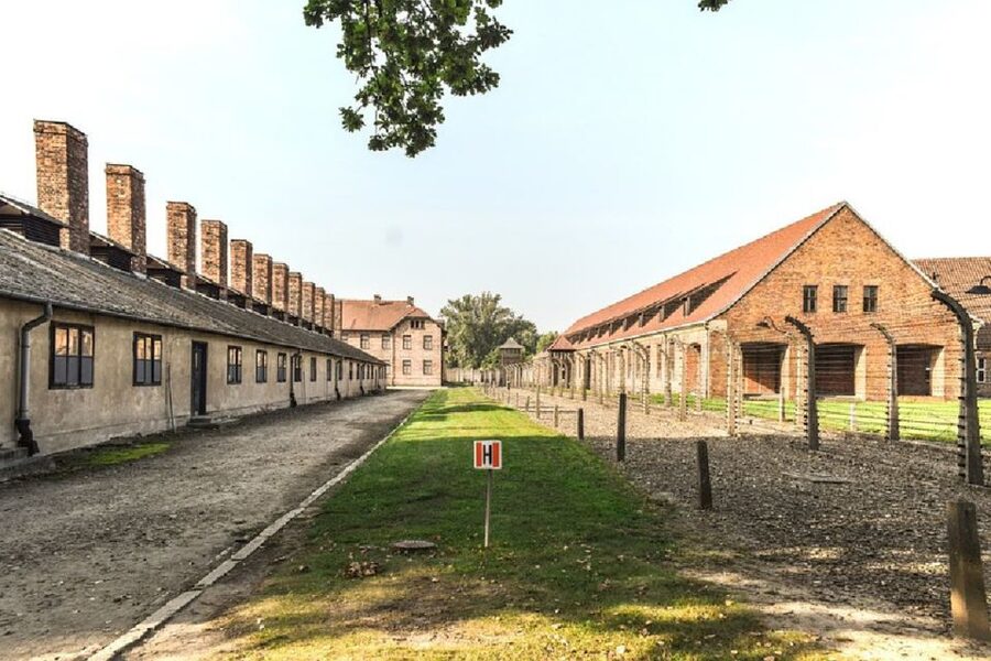 From Krakow: Auschwitz Birkenau and Salt Mine Guided Tour - Two very different sites in one Krakow day