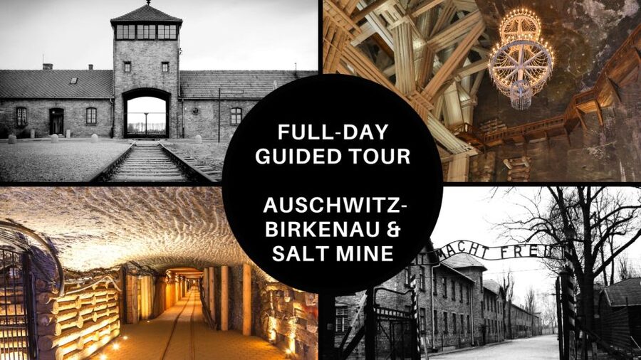 From Krakow: Auschwitz Birkenau and Salt Mine Guided Tour - Starting from Krakow and meeting the group