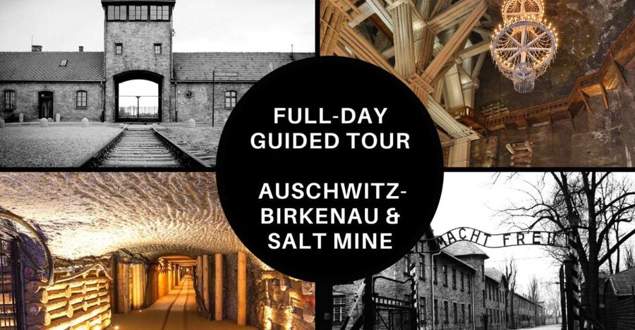 From Krakow: Auschwitz Birkenau and Salt Mine Guided Tour - The break between sites