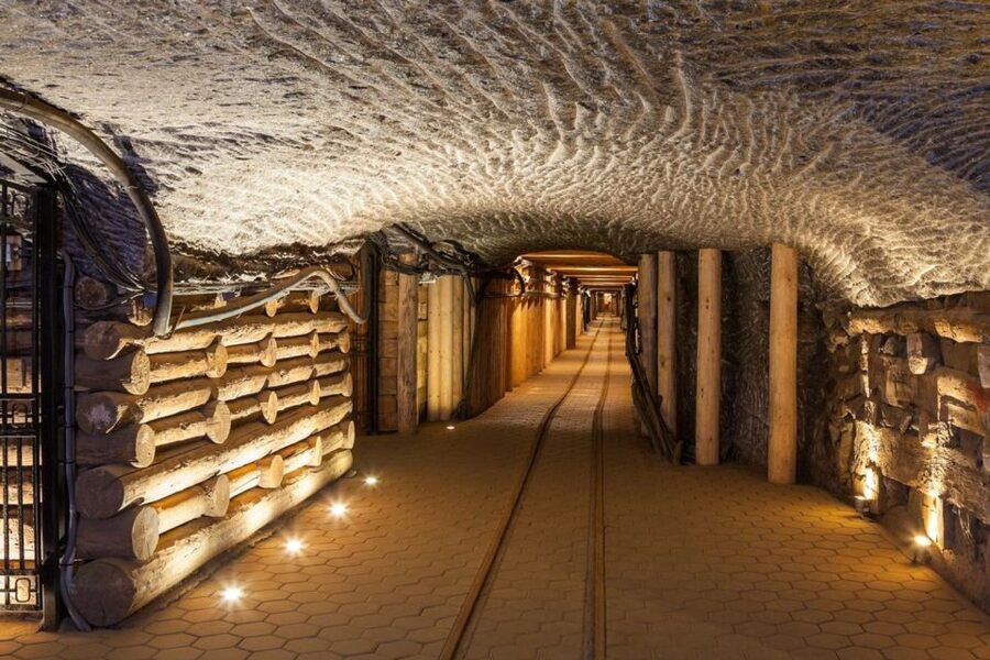 From Krakow: Auschwitz Birkenau and Salt Mine Guided Tour - Transport, guides, and the value of the package