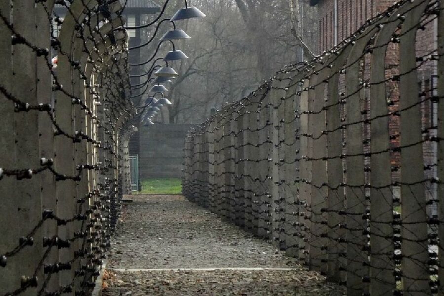 From Krakow: Auschwitz Birkenau and Salt Mine Guided Tour - Should you book this Auschwitz and Salt Mine day trip?