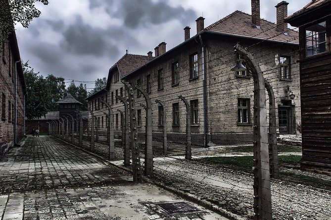 From Krakow: Auschwitz-Birkenau and Salt Mine with Private Transfer - Who will get the most from this tour?