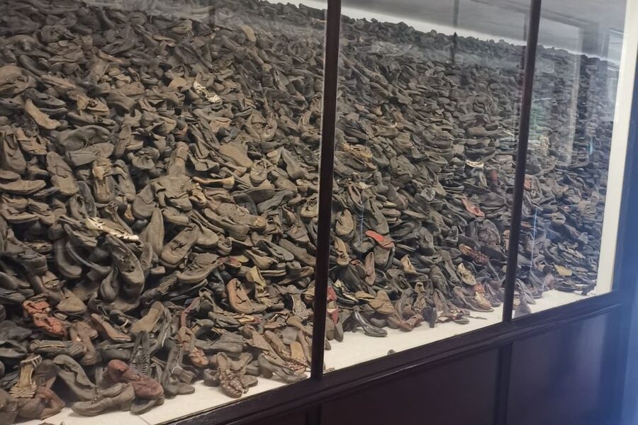 From Krakow: Auschwitz-Birkenau Camp Complex Guided Day Trip - Key points to know before booking