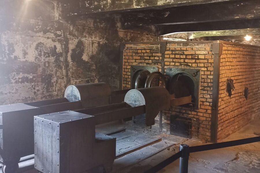 From Krakow: Auschwitz-Birkenau Camp Complex Guided Day Trip - Who should book this experience