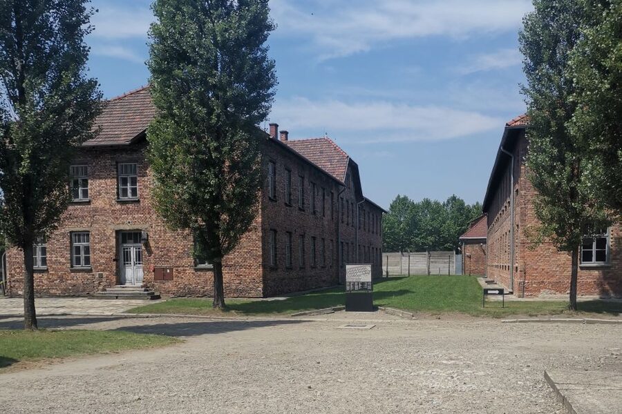 From Krakow: Auschwitz-Birkenau Camp Complex Guided Day Trip - Why this Auschwitz day trip matters