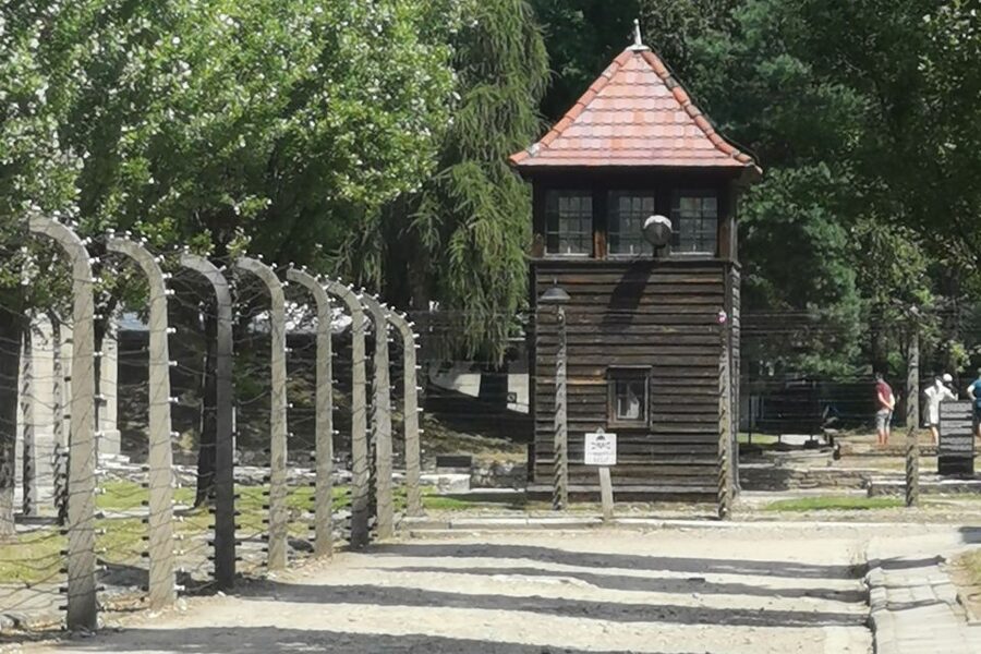From Krakow: Auschwitz-Birkenau Camp Complex Guided Day Trip - The short transfer to Birkenau