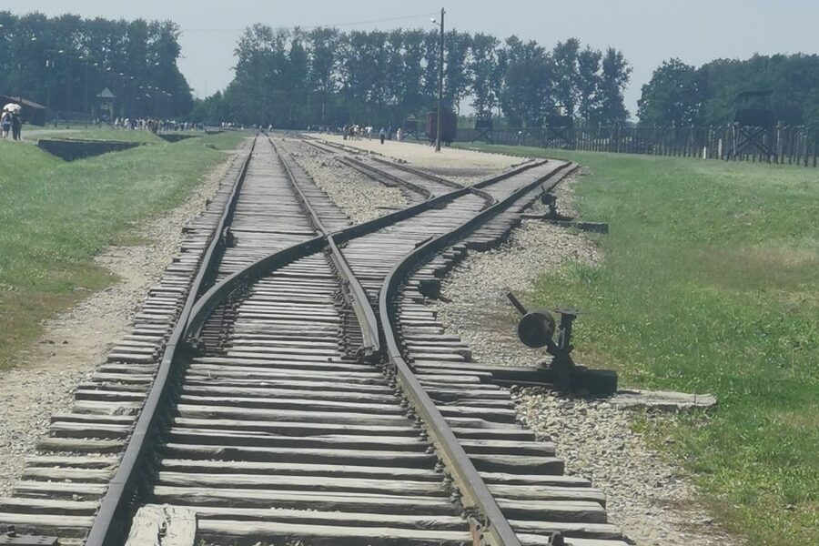 From Krakow: Auschwitz-Birkenau Camp Complex Guided Day Trip - Why the guide and language matter