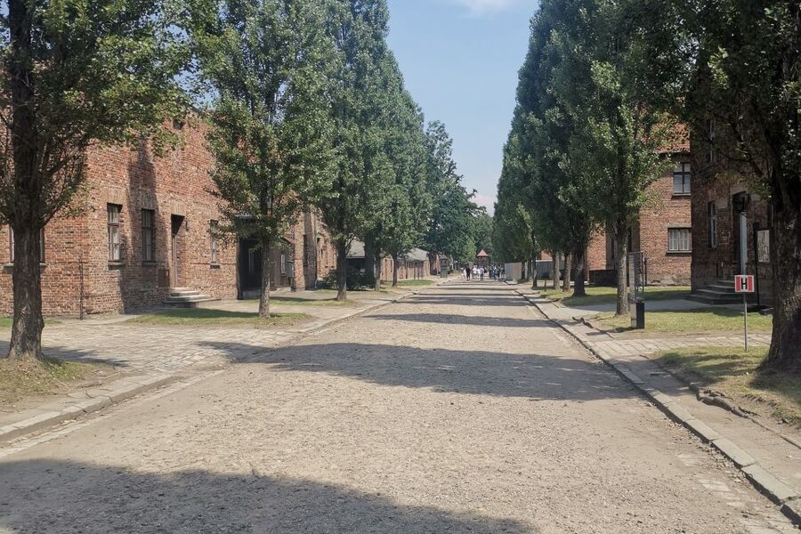 From Krakow: Auschwitz-Birkenau Camp Complex Guided Day Trip - What the $83 price includes