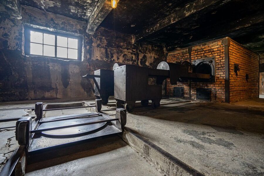 From Krakow: Auschwitz-Birkenau Full-Day Guided Tour - How the guide shapes the experience