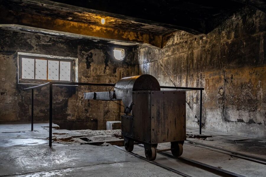 From Krakow: Auschwitz-Birkenau Full-Day Guided Tour - Timing, breaks, and physical effort