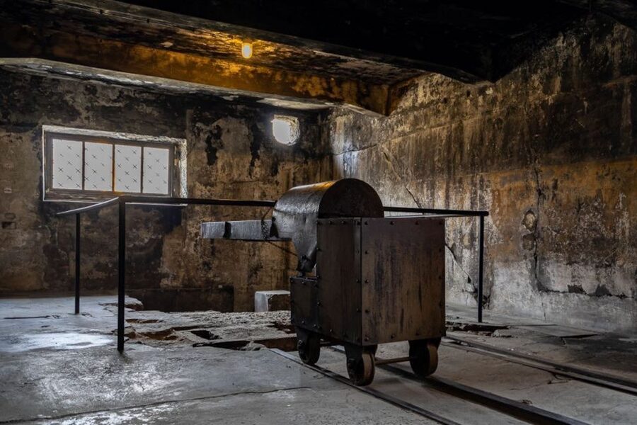 From Krakow: Auschwitz-Birkenau Full-Day Tour - Key points to know before booking