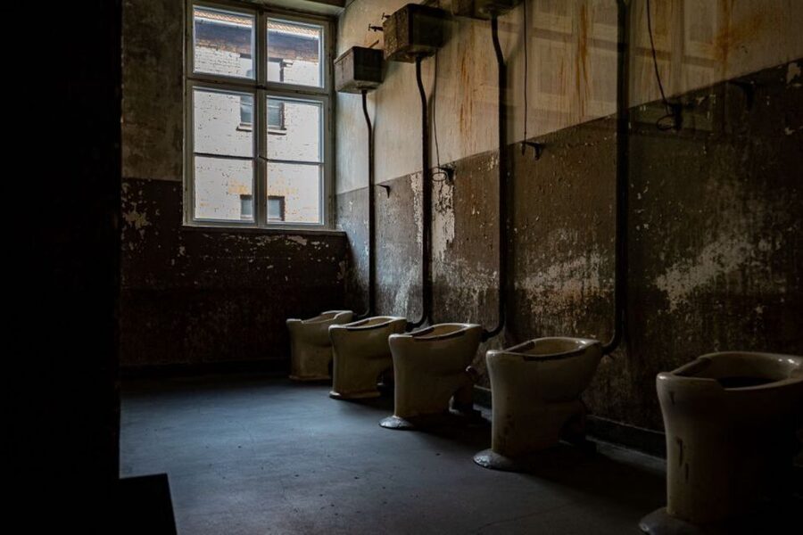 From Krakow: Auschwitz-Birkenau Full-Day Tour - Why this Auschwitz day trip matters