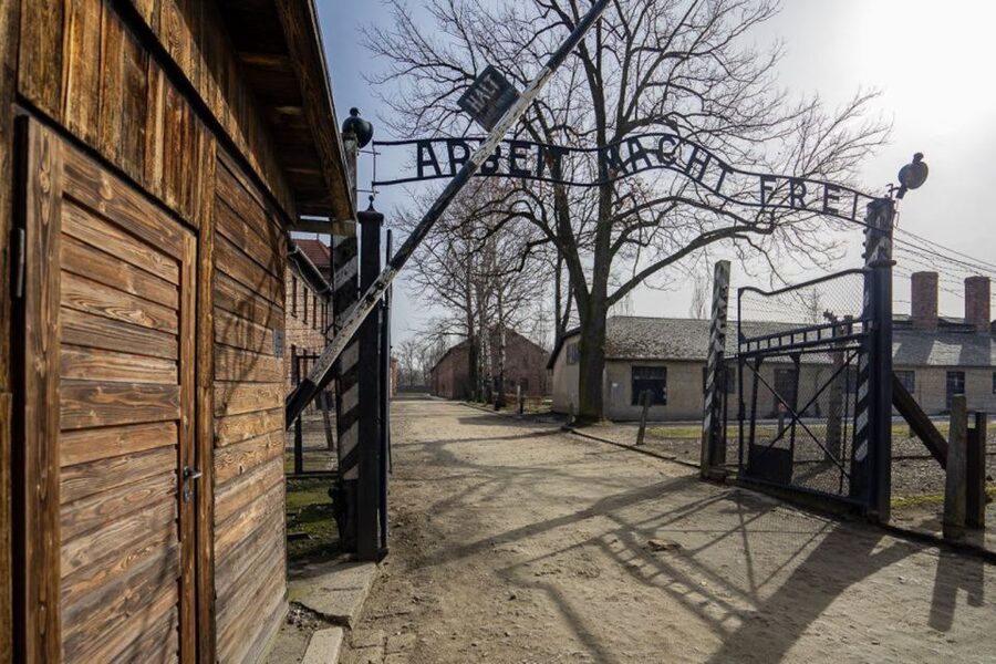 From Krakow: Auschwitz-Birkenau Full-Day Tour - Guide quality and language options