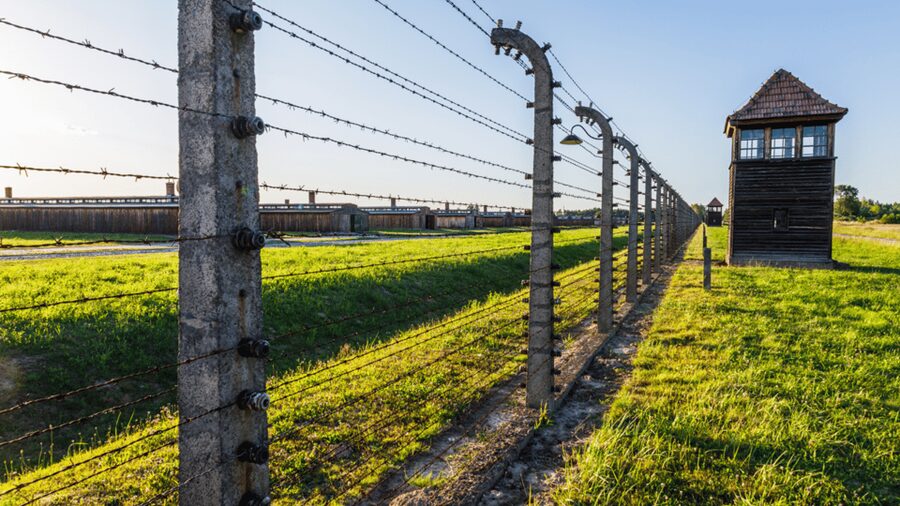 From Krakow: Auschwitz-Birkenau Guided Tour Guaranteed Time - Why a guide changes the Auschwitz experience