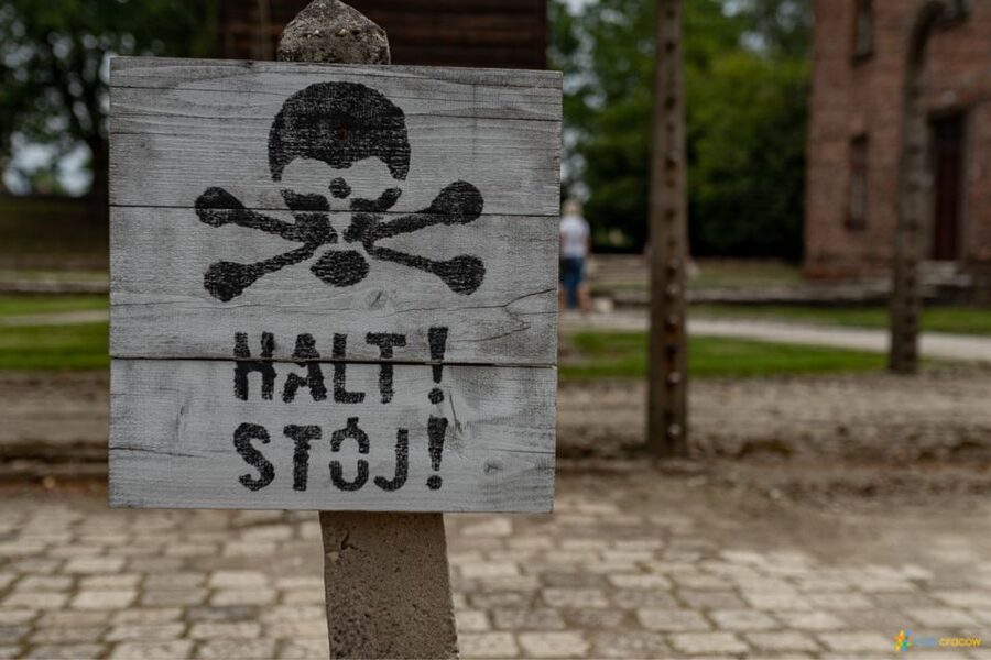 From Krakow: Auschwitz-Birkenau Guided Tour Guaranteed Time - Birkenau: wider spaces and more walking
