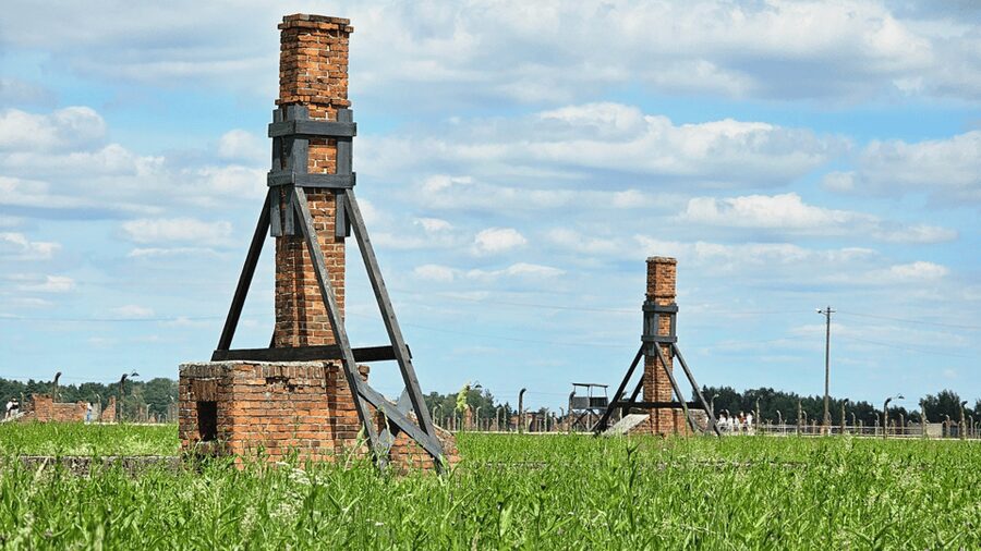 From Krakow: Auschwitz-Birkenau Guided Tour Guaranteed Time - What the $53 price really covers
