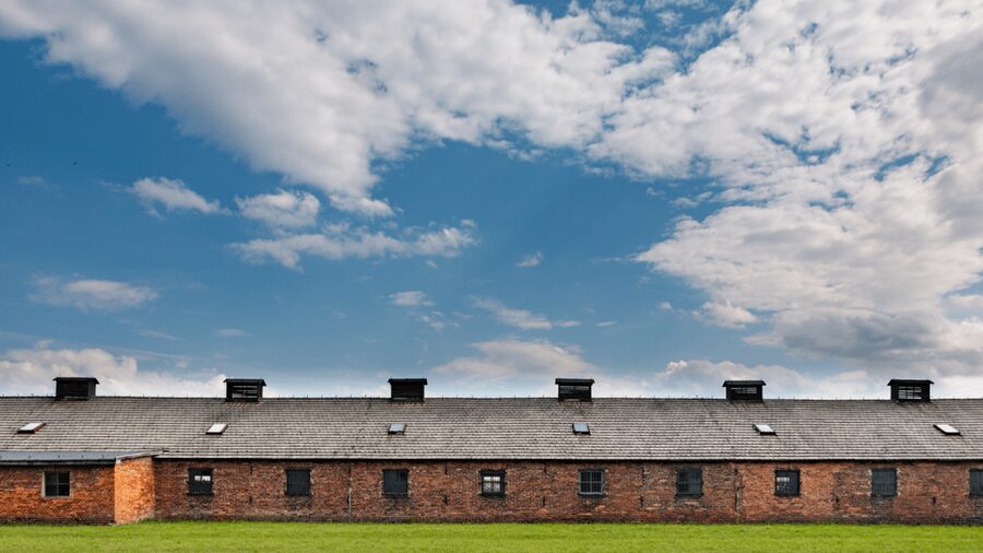 From Krakow: Auschwitz-Birkenau Guided Tour Guaranteed Time - Should you book this Auschwitz tour?