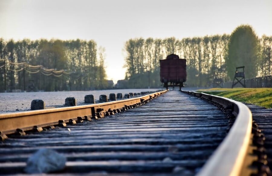 From Krakow: Auschwitz-Birkenau Guided Tour & Pickup - The $10 price and what it really buys