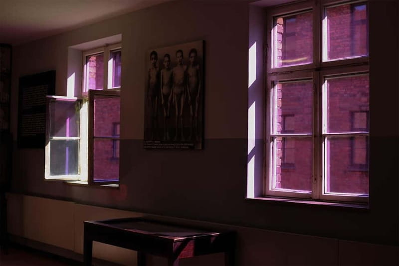 From Krakow: Auschwitz-Birkenau Guided Tour & Pickup Options - Key points before you book