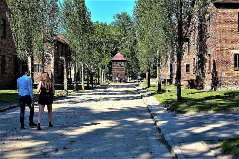 From Krakow: Auschwitz-Birkenau Guided Tour & Pickup Options - What the guide adds to a difficult visit