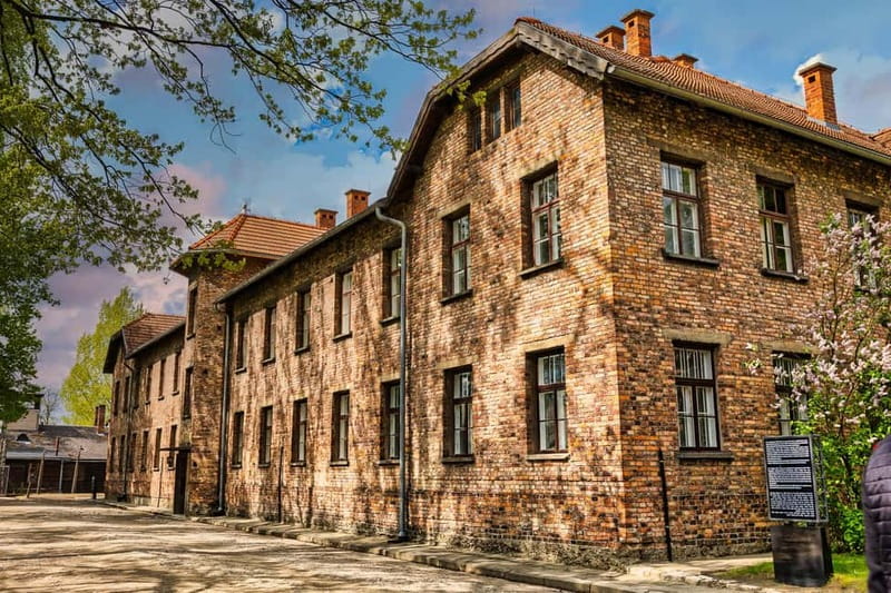 From Krakow: Auschwitz-Birkenau Guided Tour & Transport - Languages, group pace, and accessibility