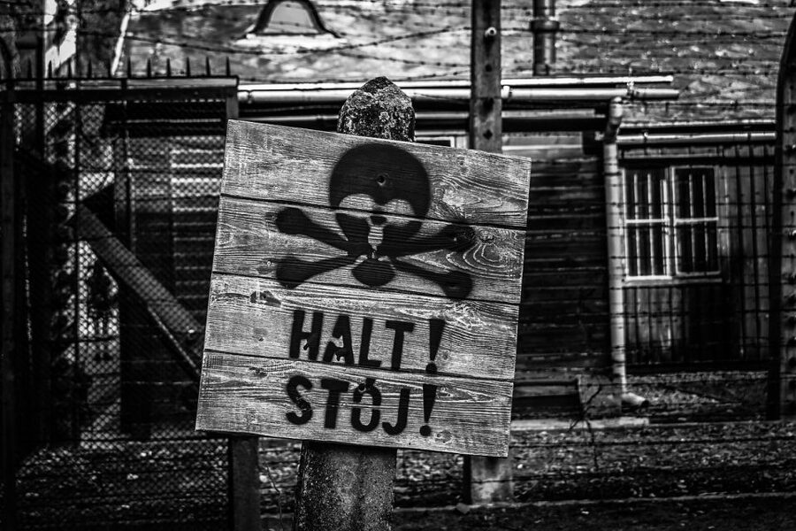 From Krakow: Auschwitz-Birkenau Guided Tour & Transport - Price and what you receive for $93