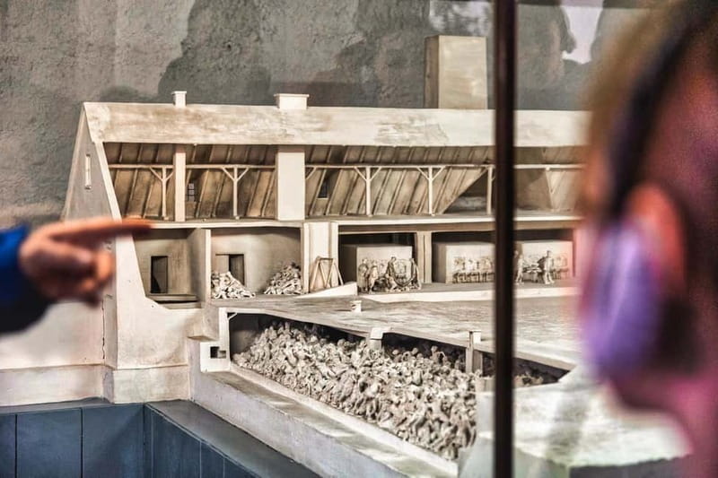 From Krakow: Auschwitz-Birkenau Guided Tour with Transport - The guide can shape the whole day