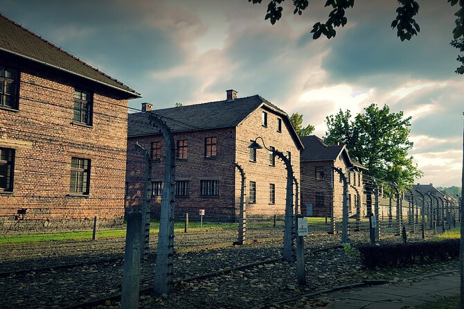 From Krakow: Auschwitz-Birkenau: Guided Tours & Private Transport - How the official museum group works