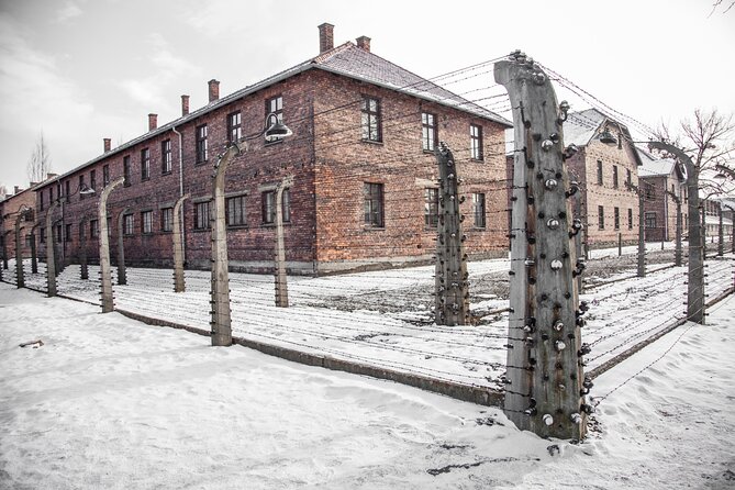 From Krakow: Auschwitz-Birkenau Memorial and Museum Guided Tour - The museum guide is the heart of the experience
