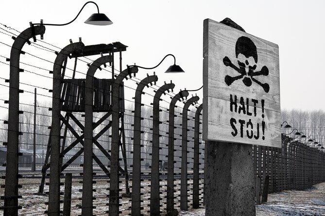 From Krakow: Auschwitz-Birkenau Memorial and Museum Guided Tour - Practical advice for a smoother day