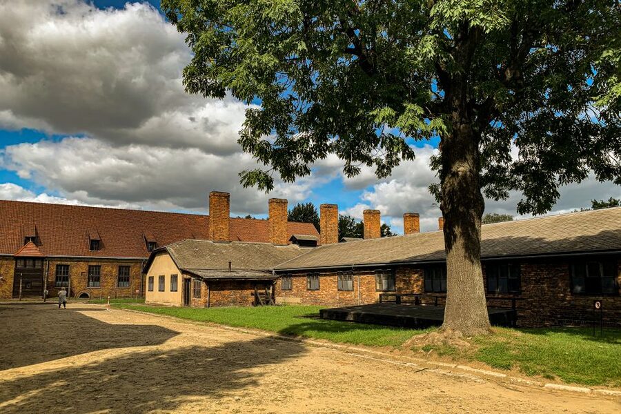 From Krakow: Auschwitz-Birkenau Memorial and Museum Tour - Birkenau and the scale of mass murder