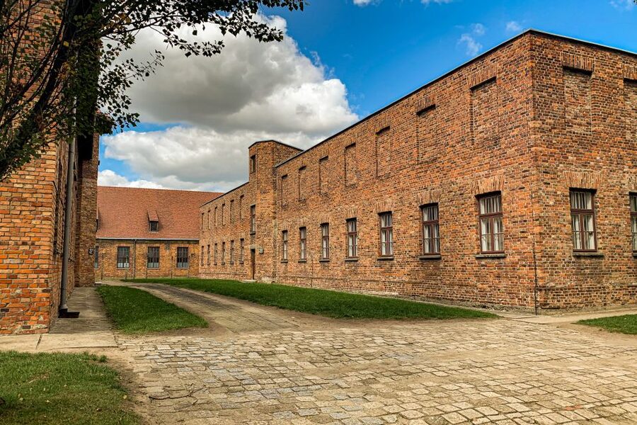 From Krakow: Auschwitz-Birkenau Memorial and Museum Tour - The guides make the difference