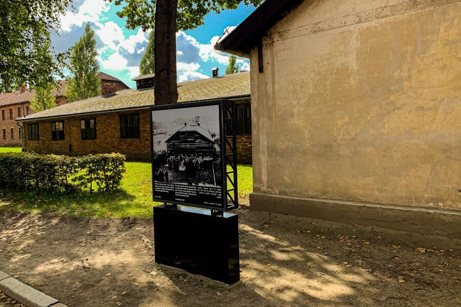 From Krakow: Auschwitz-Birkenau Memorial and Museum Tour - Packing rules that can make or break the day