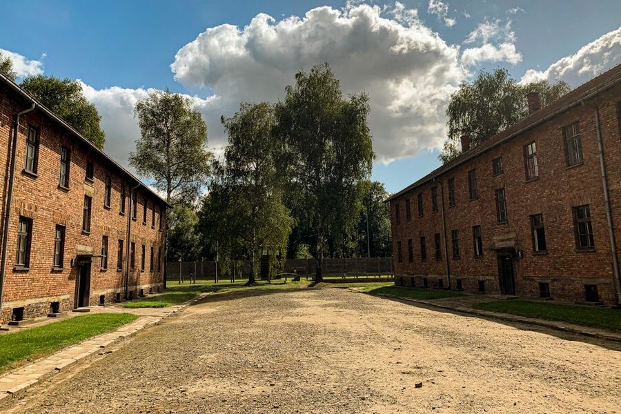 From Krakow: Auschwitz-Birkenau Memorial and Museum Tour - The ride from Krakow and the seven-hour schedule