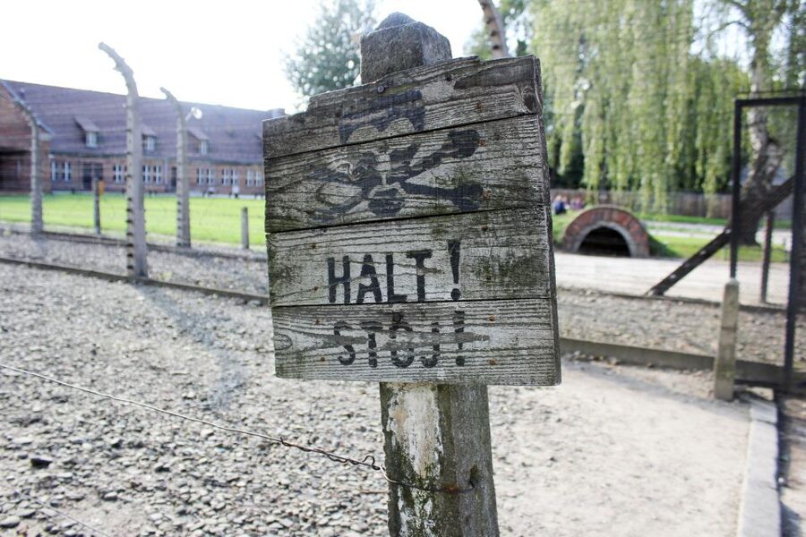 From Kraków: Auschwitz-Birkenau Memorial Guided Tour - Why Auschwitz-Birkenau needs a full day from Krakow
