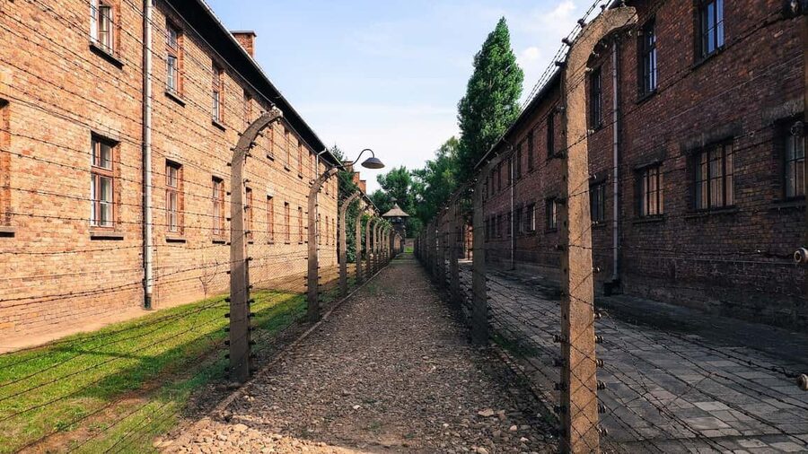 From Krakow: Auschwitz-Birkenau Memorial Private Tour - Who will get the most from this experience