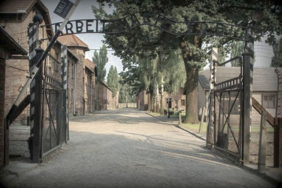 From Krakow: Auschwitz-Birkenau Private or Shared Tour - Birkenau and the wider camp grounds