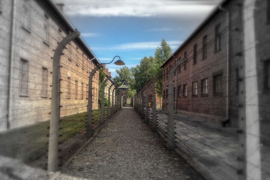 From Krakow: Auschwitz-Birkenau Private or Shared Tour - Who will appreciate this tour most?