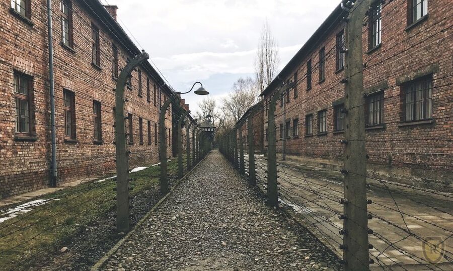 From Krakow: Auschwitz Birkenau Self-Guided Tour - Leaving Krakow by shared bus