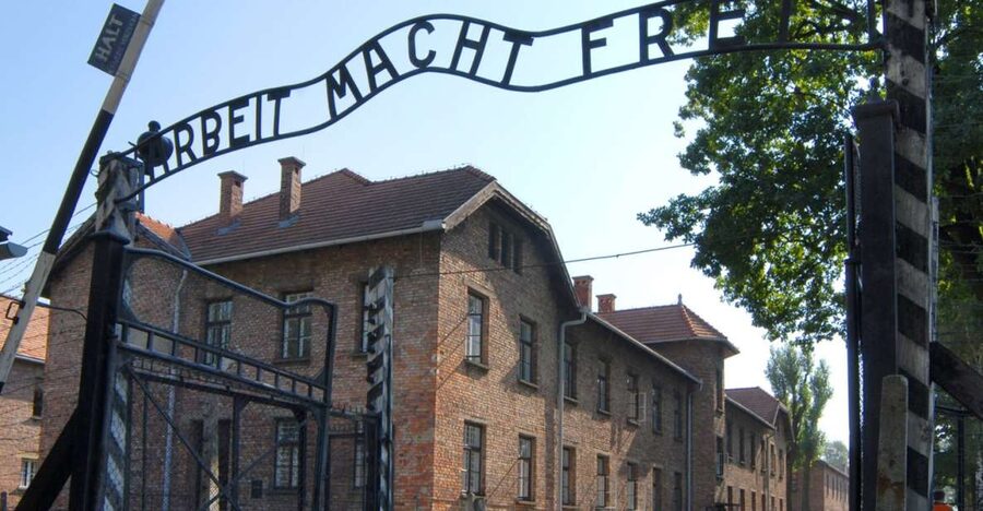 From Krakow: Auschwitz-Birkenau Tour - Birkenau and the scale of the camp system