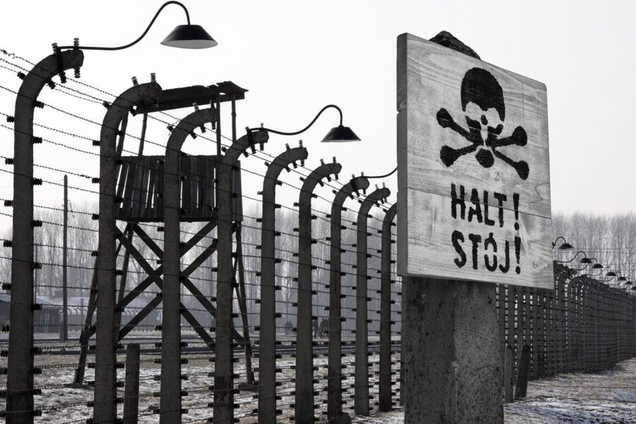 From Krakow: Auschwitz-Birkenau Tour - Who will get the most from this tour
