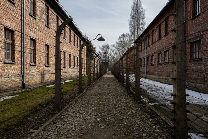 From Kraków: Auschwitz-Birkenau Tour with Lunch Box and Pick Up - Transport, organization, and the value of $94.93