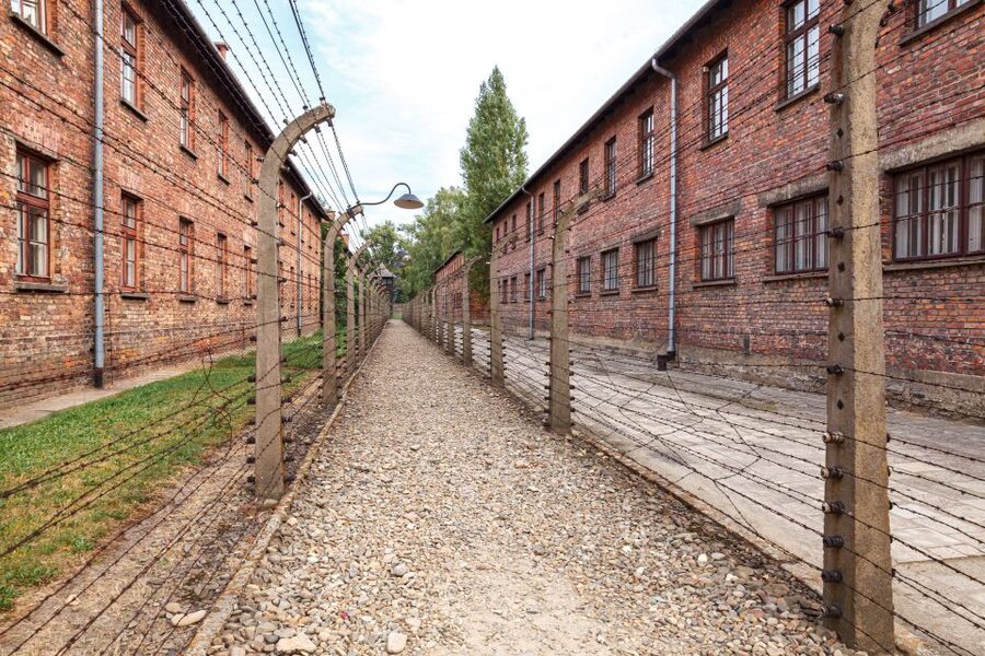 From Krakow: Auschwitz Birkenau Tour with Transfer - Why Auschwitz-Birkenau requires a full day from Krakow